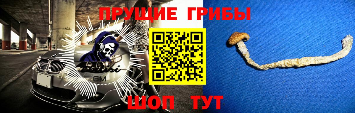 Галлюциногенные грибы Psilocybine cubensis  Вход с VPN  Маркс 