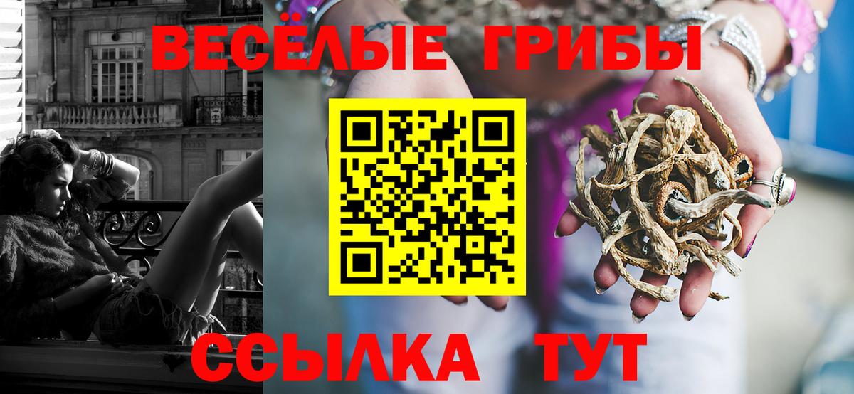 Псилоцибиновые грибы Psilocybe Маркс